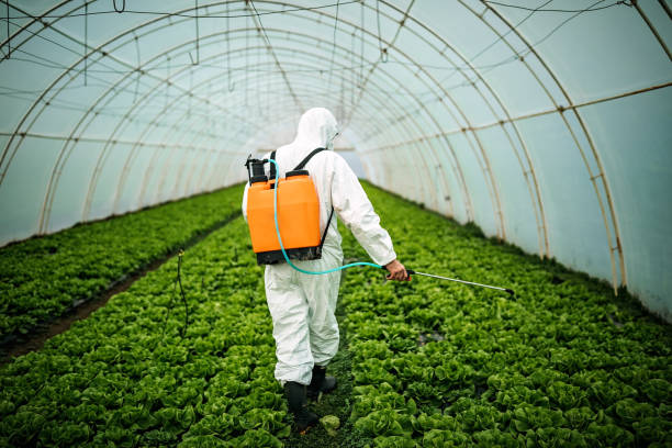 Pest Control Cost in Fredericksburg, VA