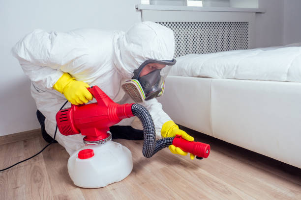 Best Local Pest Control Services  in Fredericksburg, VA