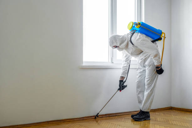 Best Pest Prevention Services  in Fredericksburg, VA