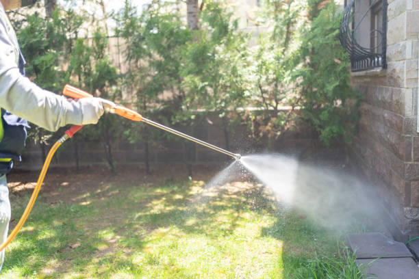 Best Bird Control  in Fredericksburg, VA