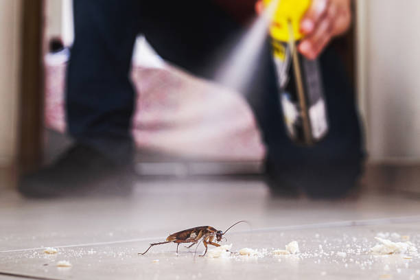 Best Best Pest Control Companies  in Fredericksburg, VA