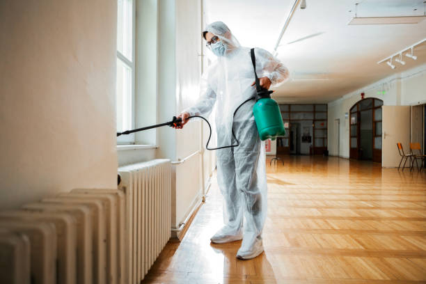 Best Wasp Removal Services  in Fredericksburg, VA