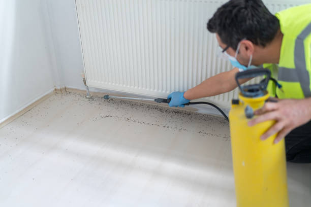 Best Ant Control Services  in Fredericksburg, VA