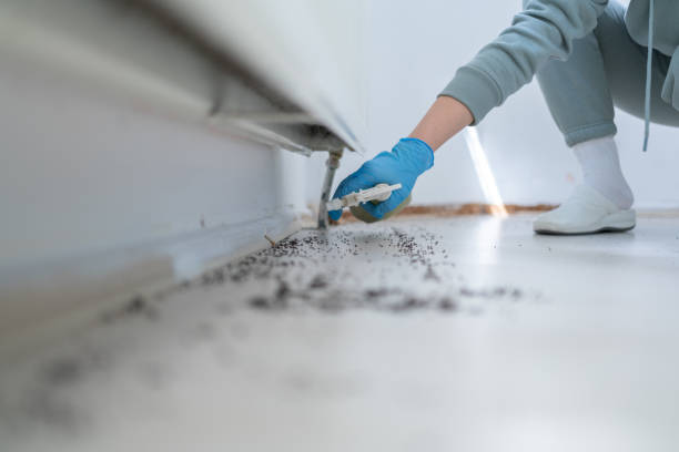 Best Affordable Pest Control Services  in Fredericksburg, VA